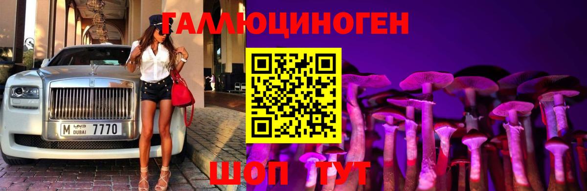 Псилоцибиновые грибы Cubensis  Вход с VPN  продажа наркотиков  Кувандык  Галлюциногенные грибы Psilocybine cubensis 
